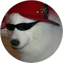 Shane Sweeney profile picture