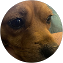 Memphis profile picture