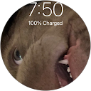 Nicholas K profile picture