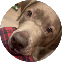 Mila K profile picture